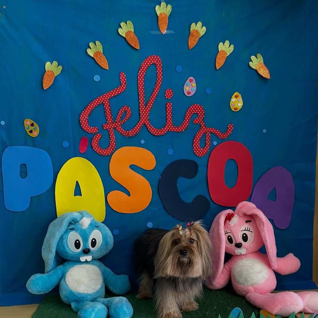villagrandvets_1744309257974