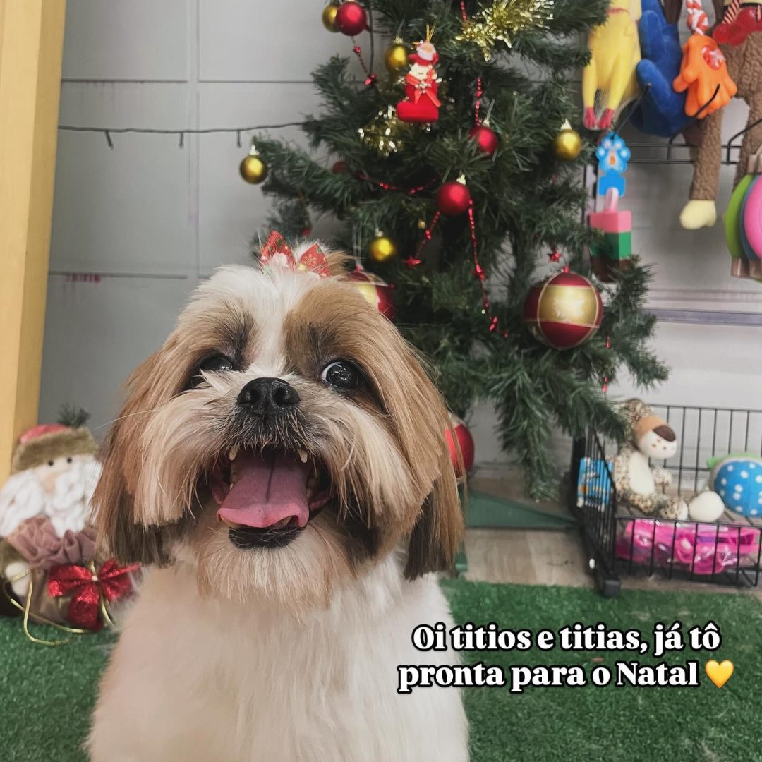 villagrandvets_1744309266492