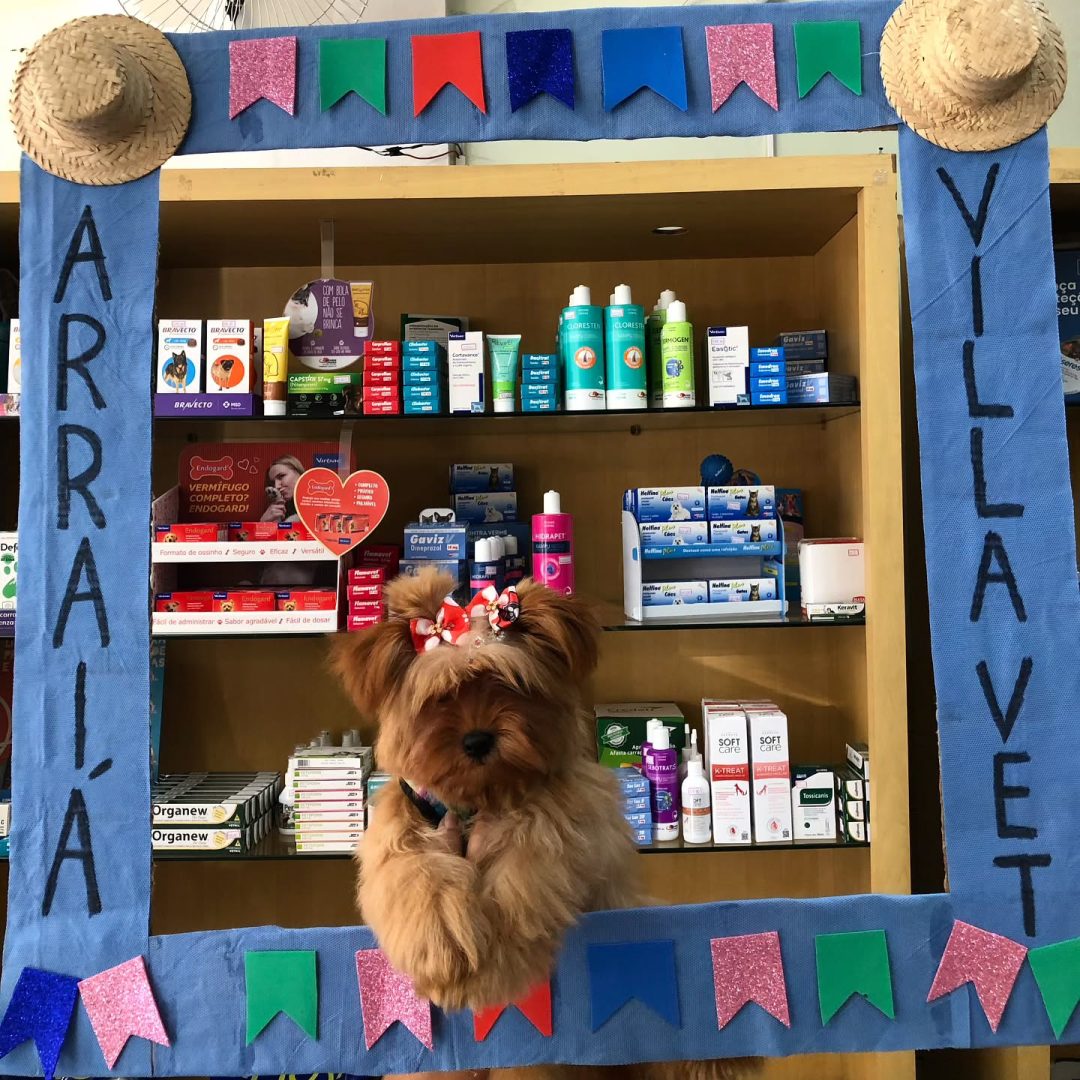 villagrandvets_1744309318113